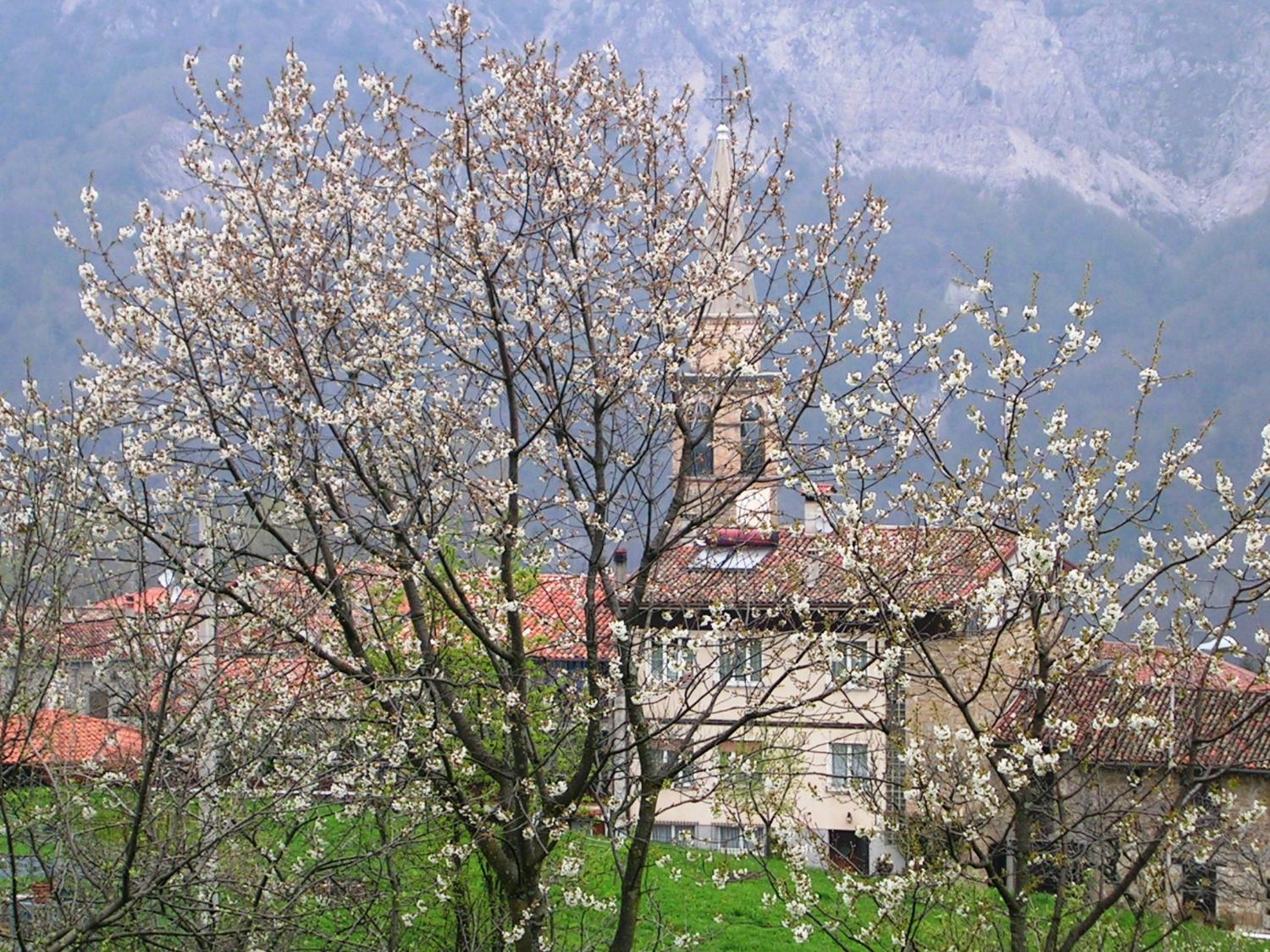 Frisanco, scorcio di primavera (foto Andrea Ghirardini)