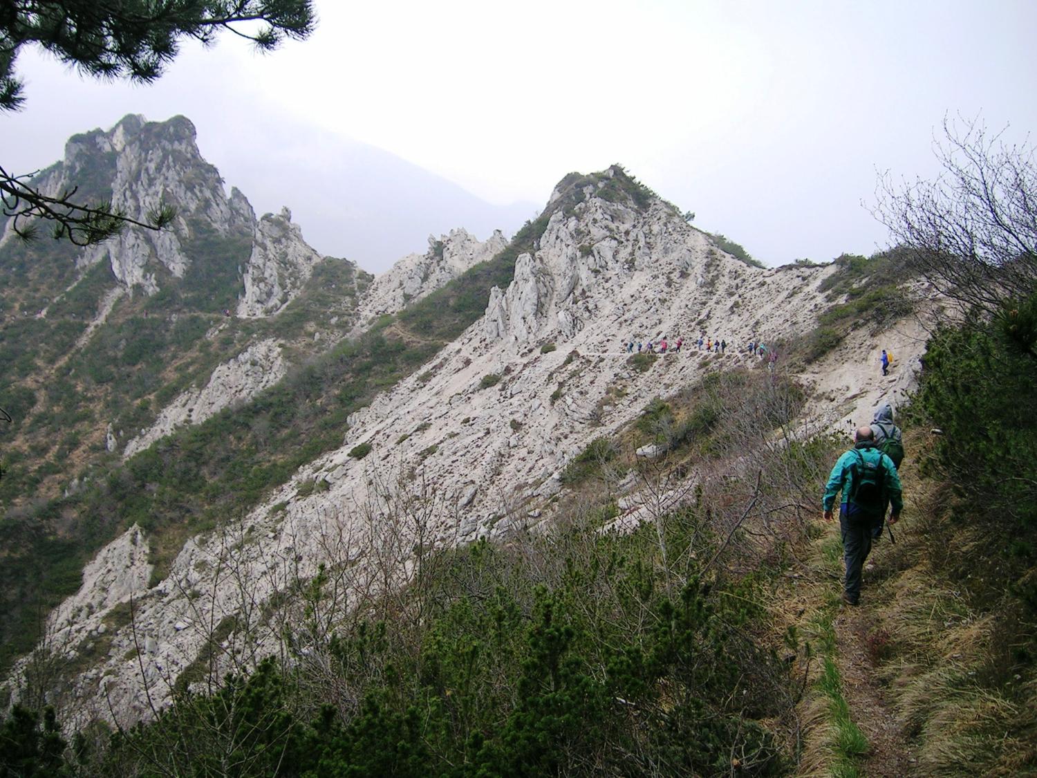 Lungo il sentiero, verso Pala Barzana (foto Andrea Ghirardini)