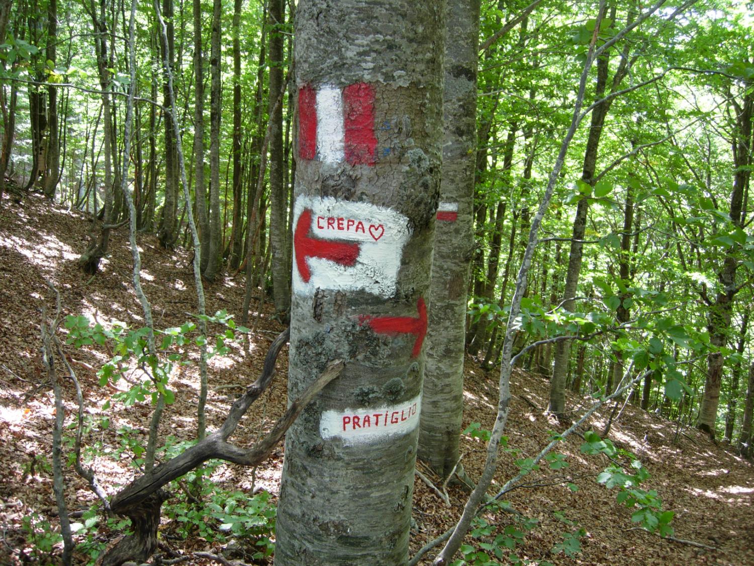 Segnaletica naif verso il monte Crepacuore (foto Antonello Sica)