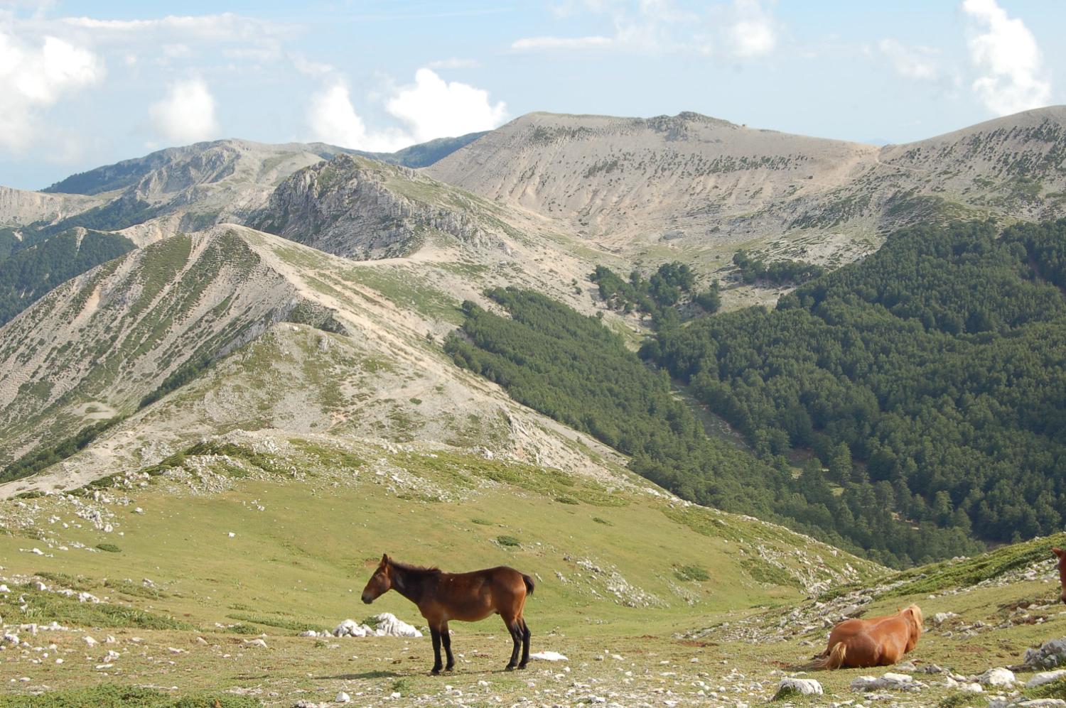 Dal monte Crepacuore verso la fonte di Pozzotello (foto Arduino Fratarcangeli)