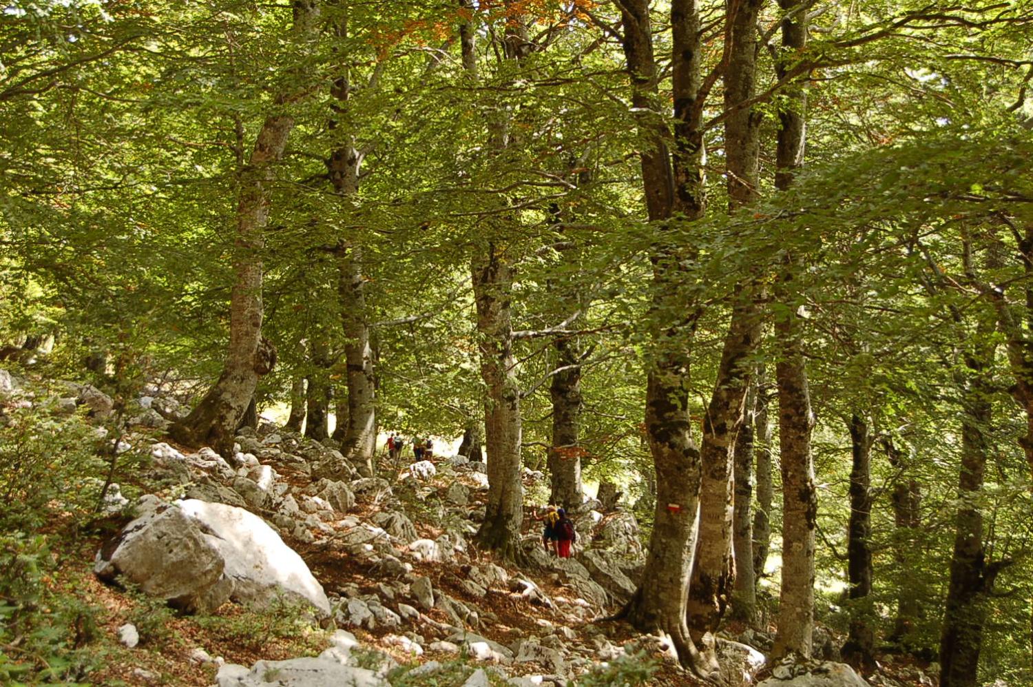 In discesa ferso la Forcella di Faito (foto Arduino Fratarcangeli)