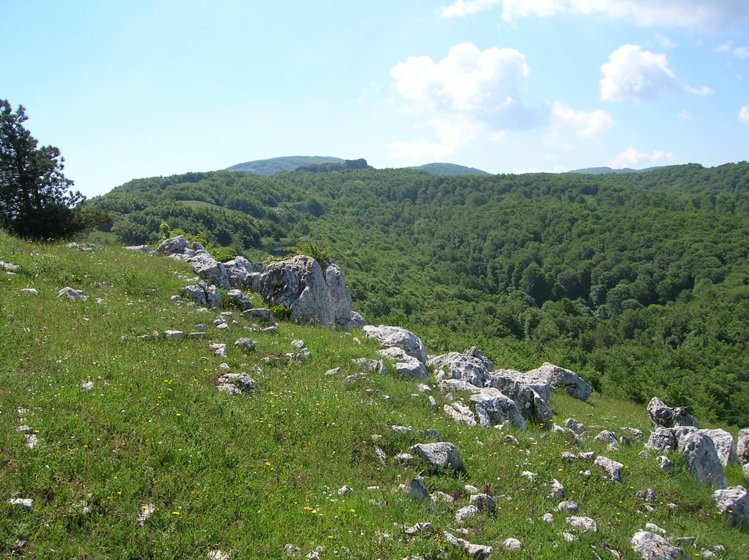 La cresta delle Carovelle (foto Domenico Cardarelli)