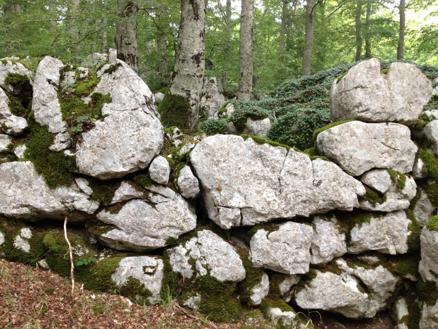 Un tratto delle mura sannitiche (foto Carlo Finocchietti)