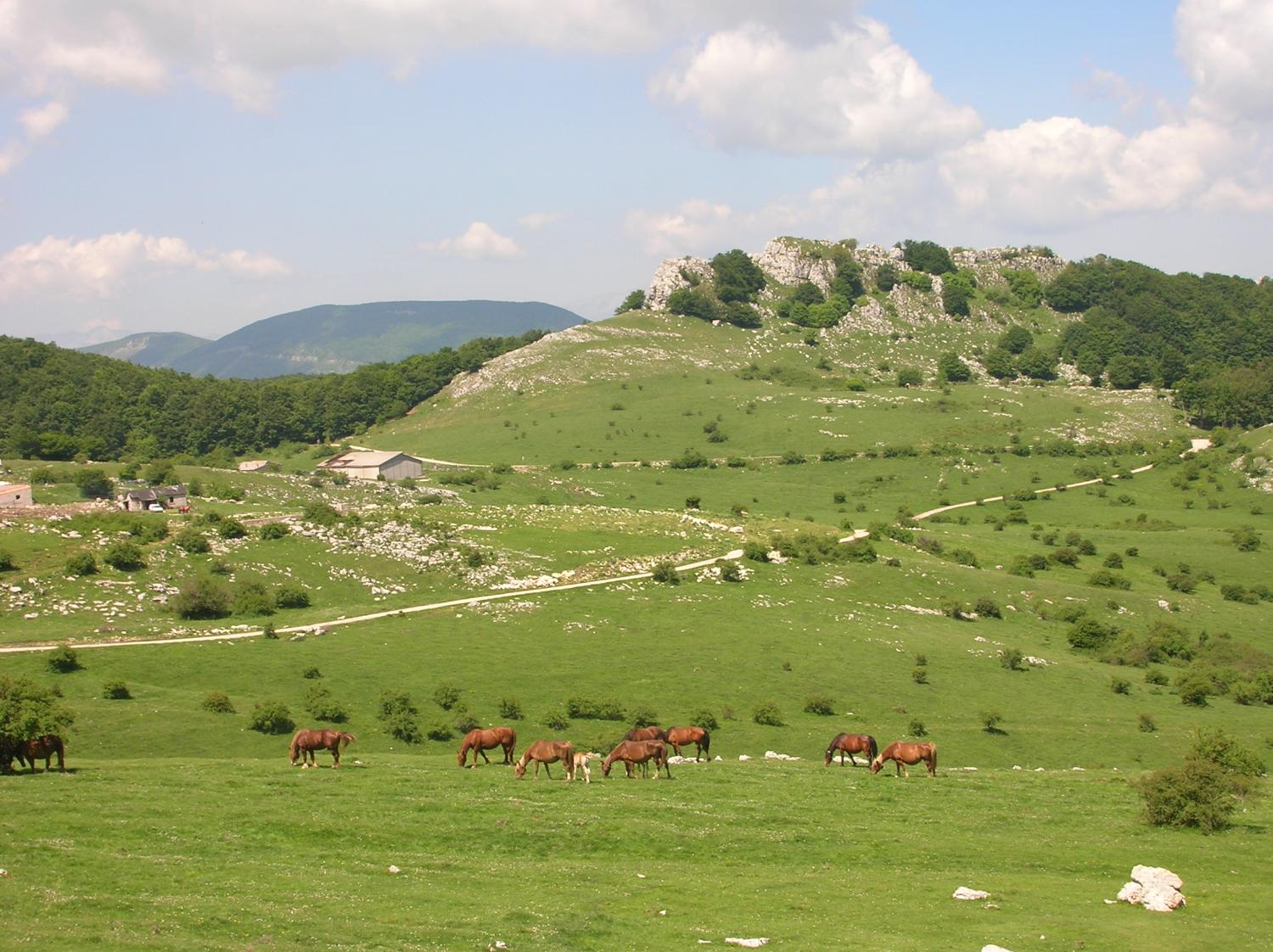 Il pianoro della Casella, ai piedi della Montagnola (foto Domenico Cardarelli)