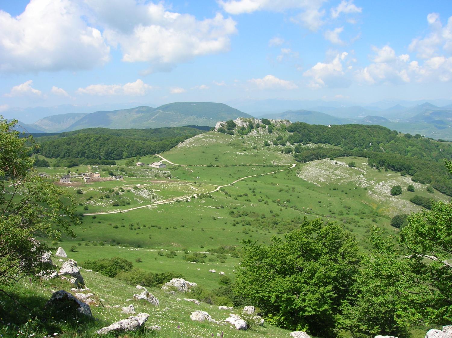 Il pianoro della Casella con le creste e il bosco delle Carovelle (foto Domenico Cardarelli)