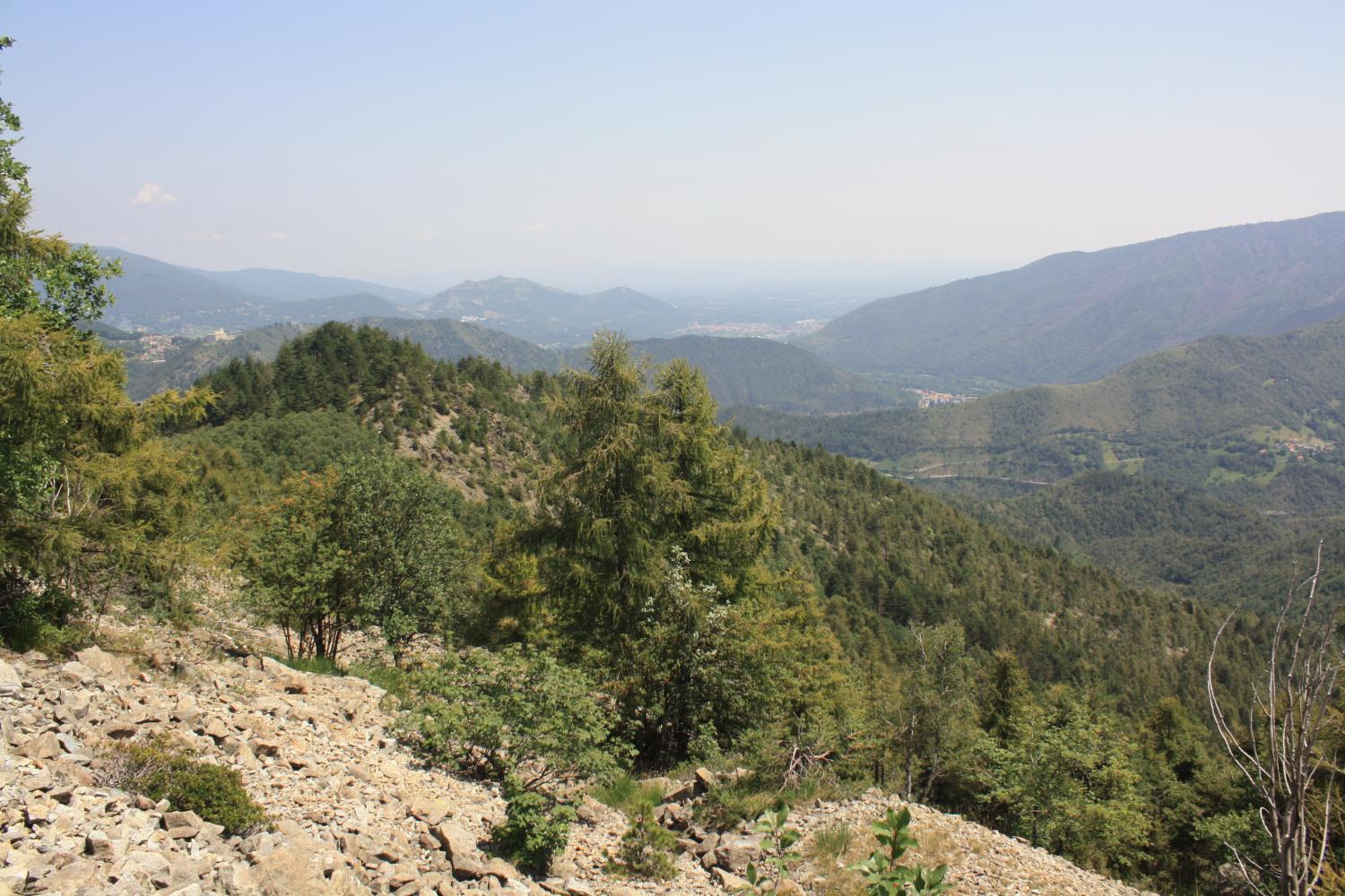 Panorama sulla bassa valle dal Sentiero Frassati (foto Osvaldo Cagliero)