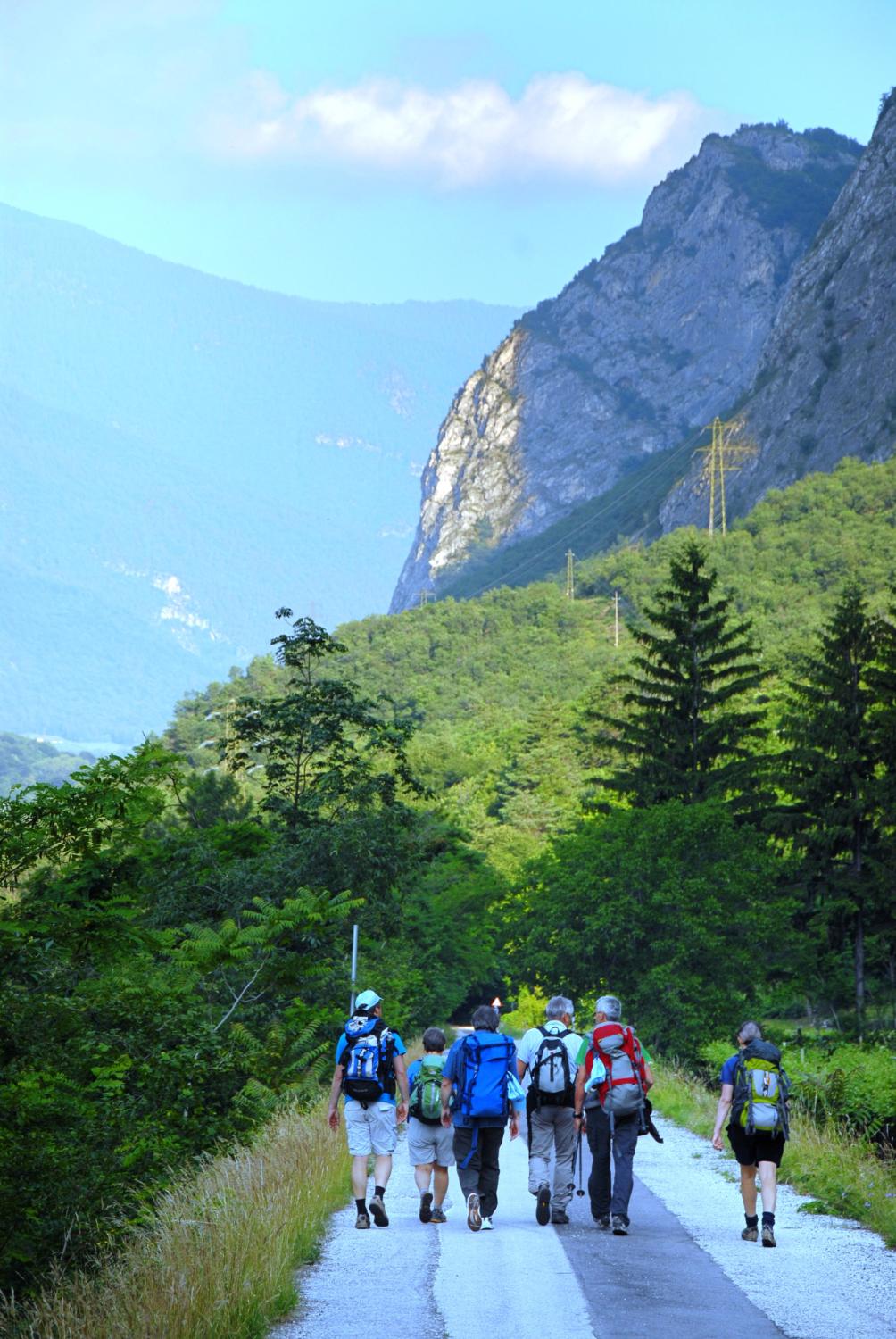 Sulla strada arginale del fiume Noce verso la Rocchetta e la Tor di Visione (foto Gianni Zotta)