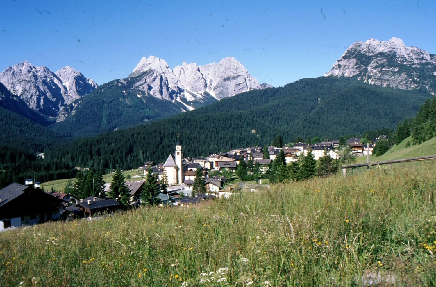 Sappàda nella Valle del Sole (foto Italo Zandonella Callegher)