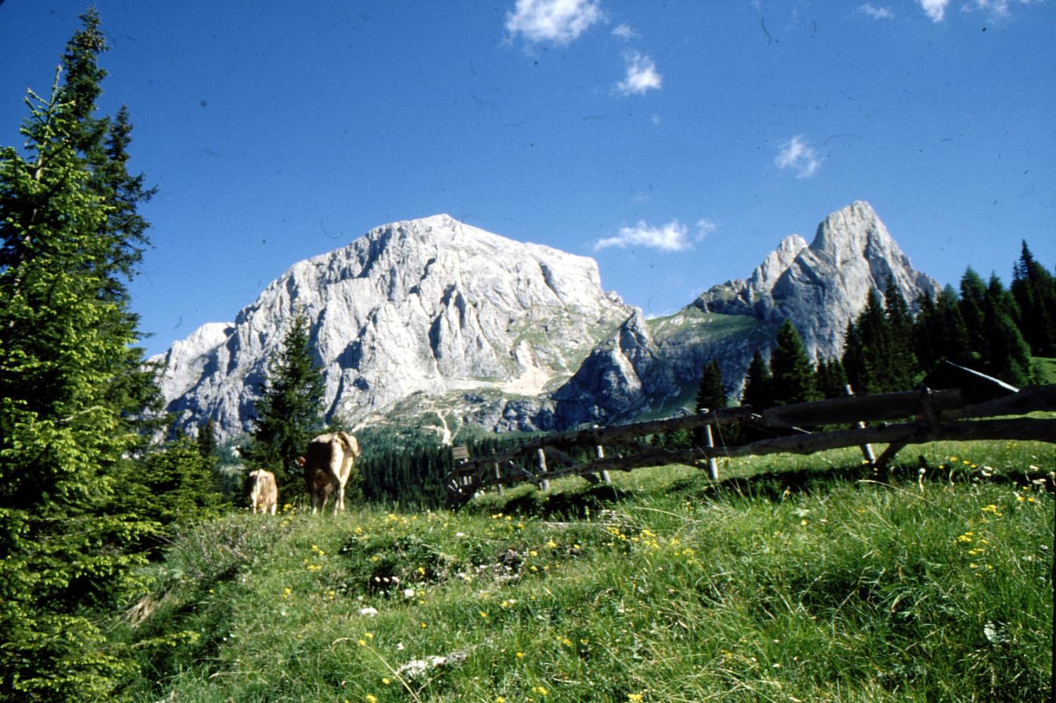 Il Monte Peralba dove nasce il fiume Piave (foto Italo Zandonella Callegher)