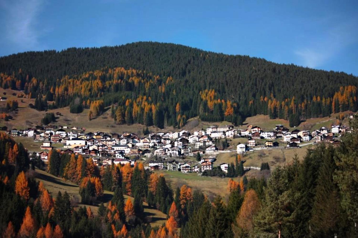 Costalta (foto Consorzio Turistico Val Comelico Dolomiti)