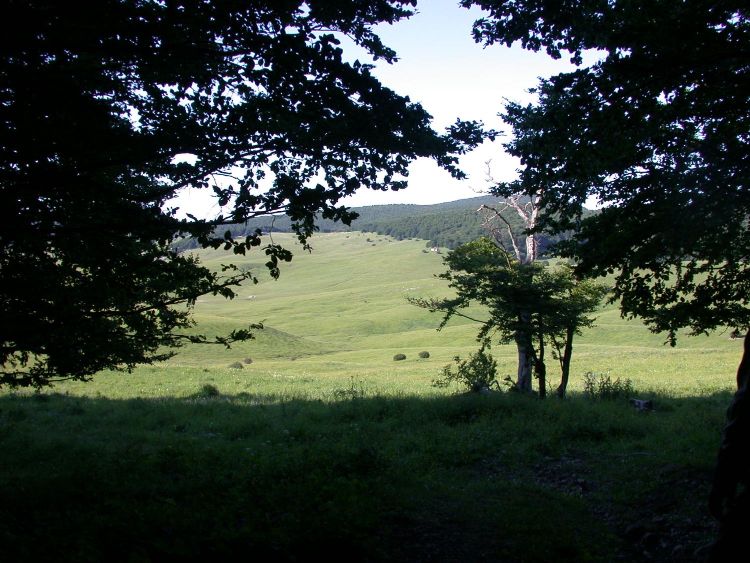 Scorcio sulla Piana del Voltigno (foto Edoardo Tini)