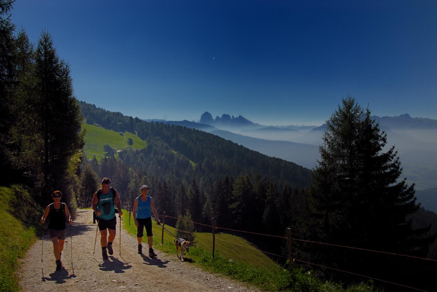 Lungo la prima parte del sentiero (foto Gianni Zotta)