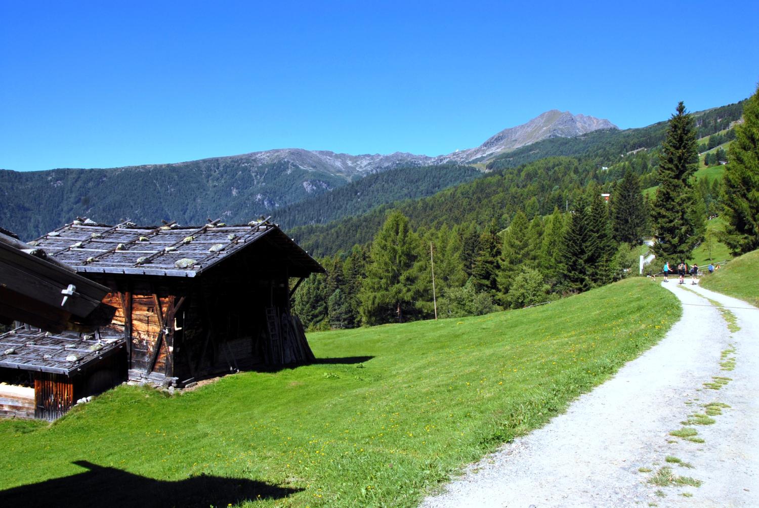 Lungo la prima parte del sentiero (foto Gianni Zotta)