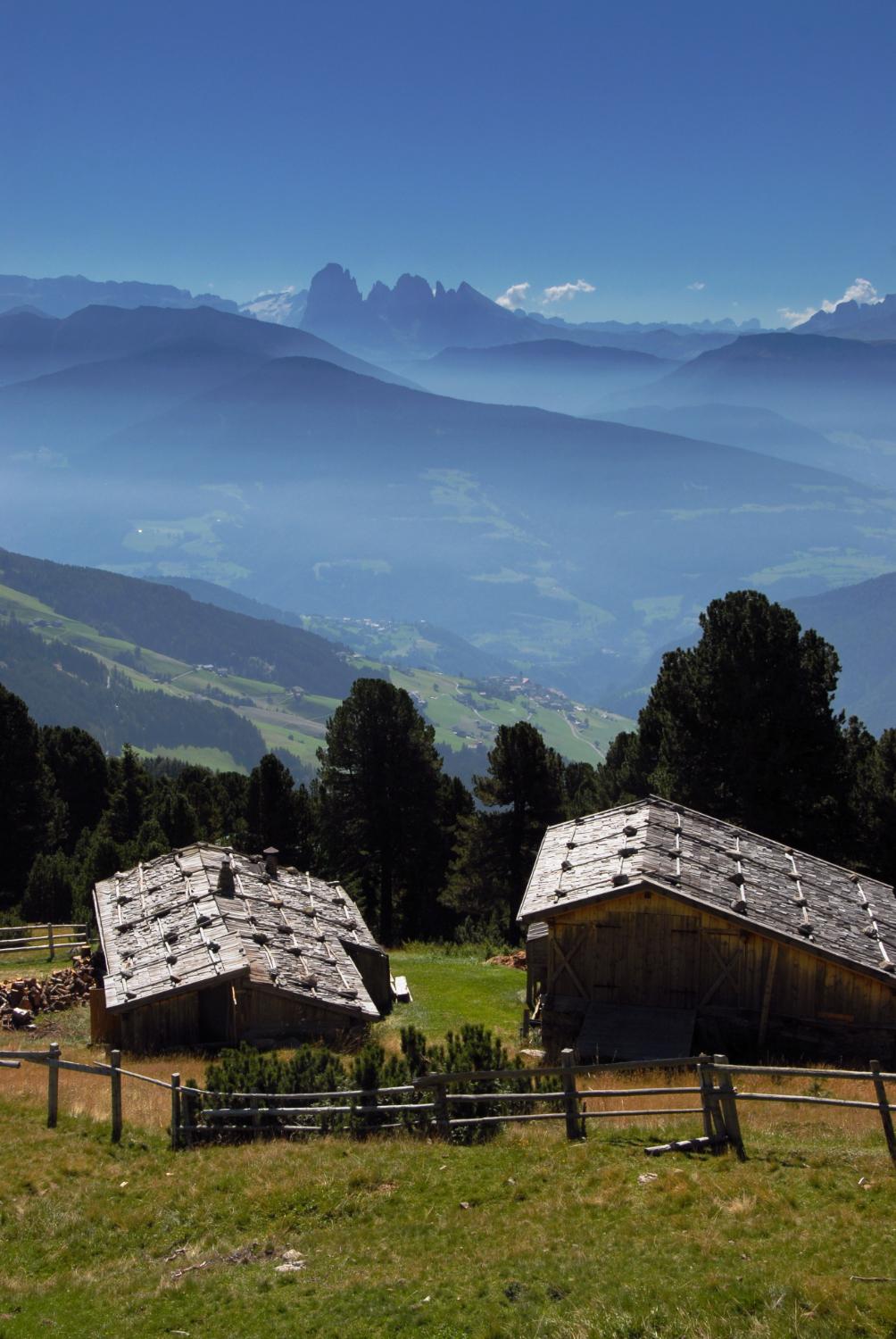 Alla metà del sentiero (foto Gianni Zotta)