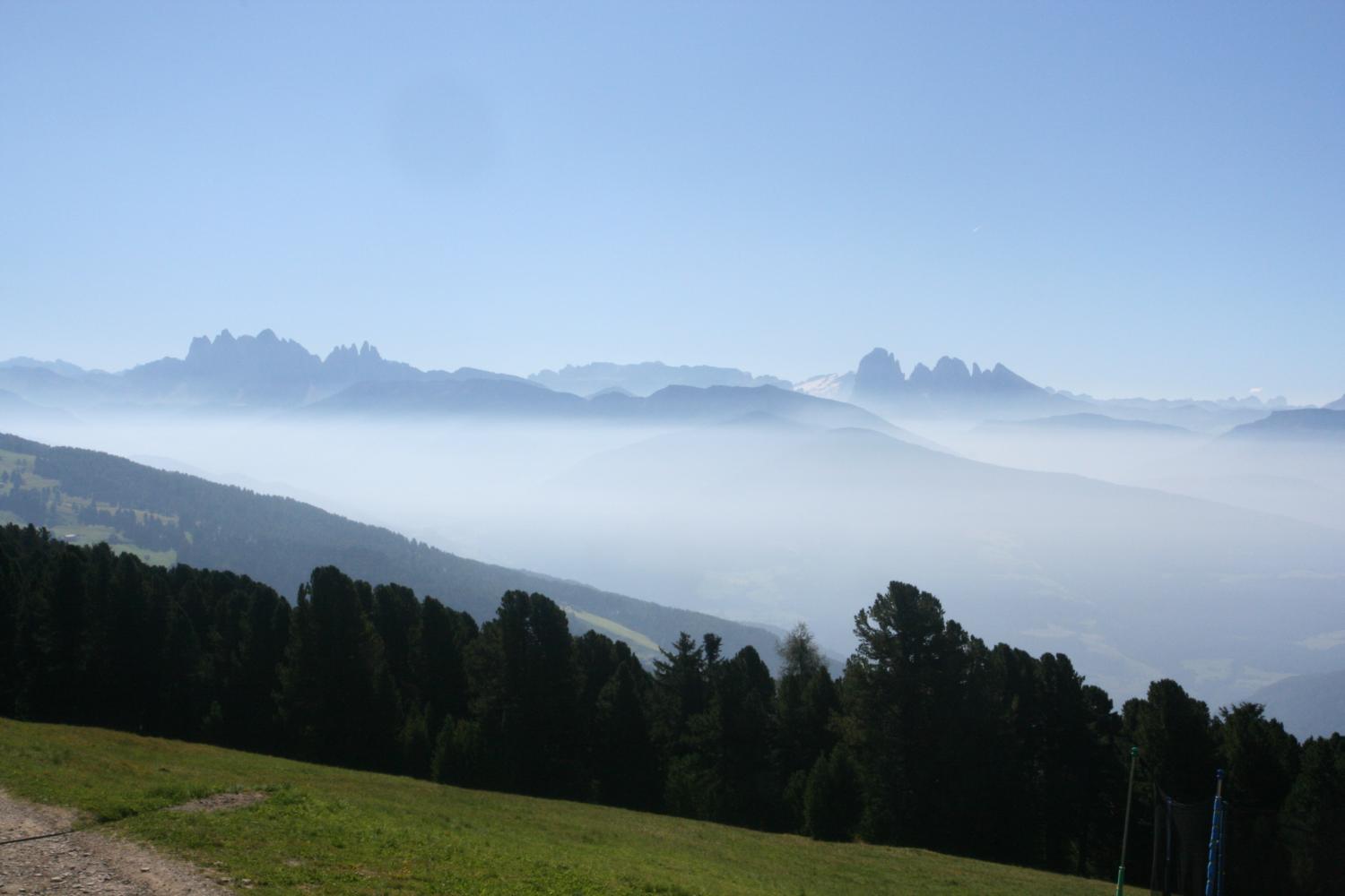 Alla metà del sentiero (foto Andrea Ghirardini)