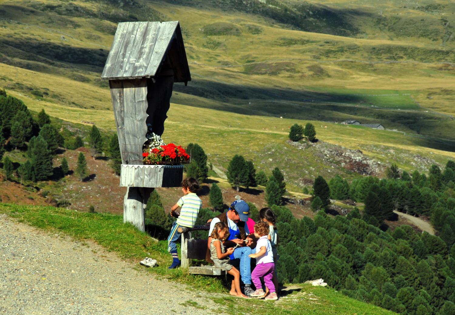 Alla metà del sentiero (foto Gianni Zotta)