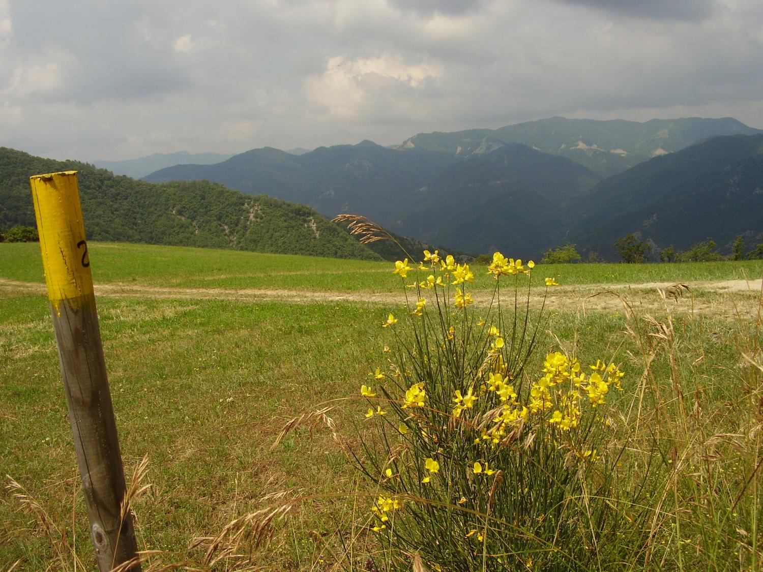 Panorama sulla Valle del Senio, da Pian di Volpone (foto Antonella Focarelli)