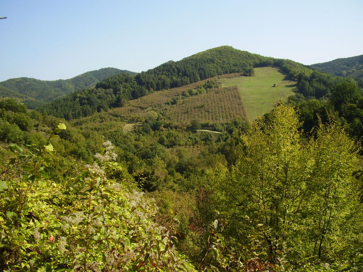 Verso Fornazzano (foto Antonella Focarelli)