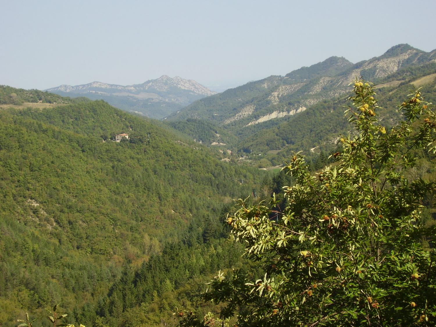 Vista sulla Vena del gesso (foto Antonella Focarelli)