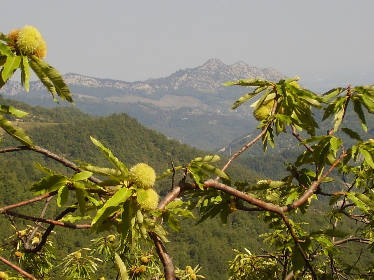 Vista sulla Vena del gesso (foto Antonella Focarelli)