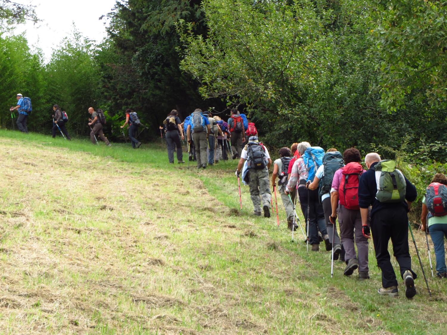 Sull'anello grande del Sentiero Frassati (foto Massimo Biraghi)