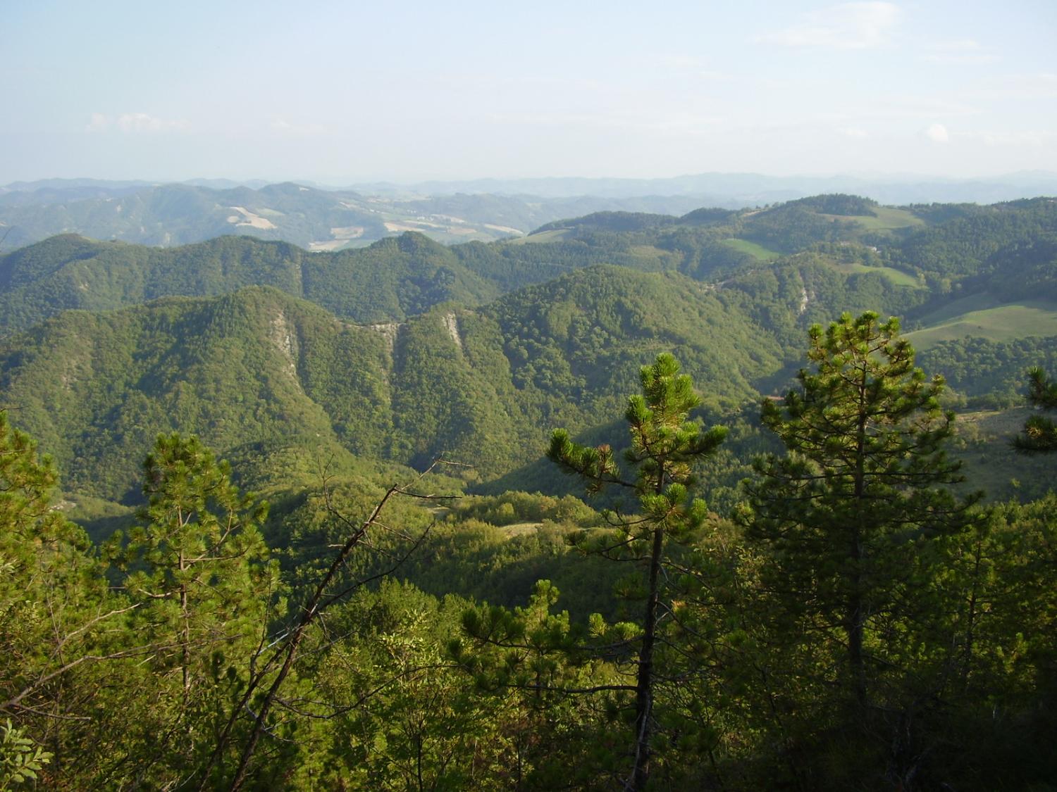 Vista panoramica sulla Valle del Lamone (foto Antonella Focarelli)