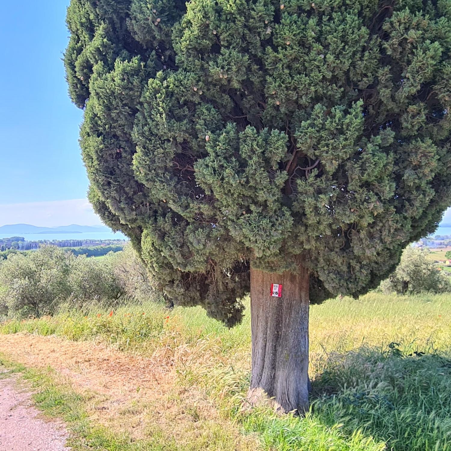 Sul sentiero (foto Archivio Sentieri Frassati)