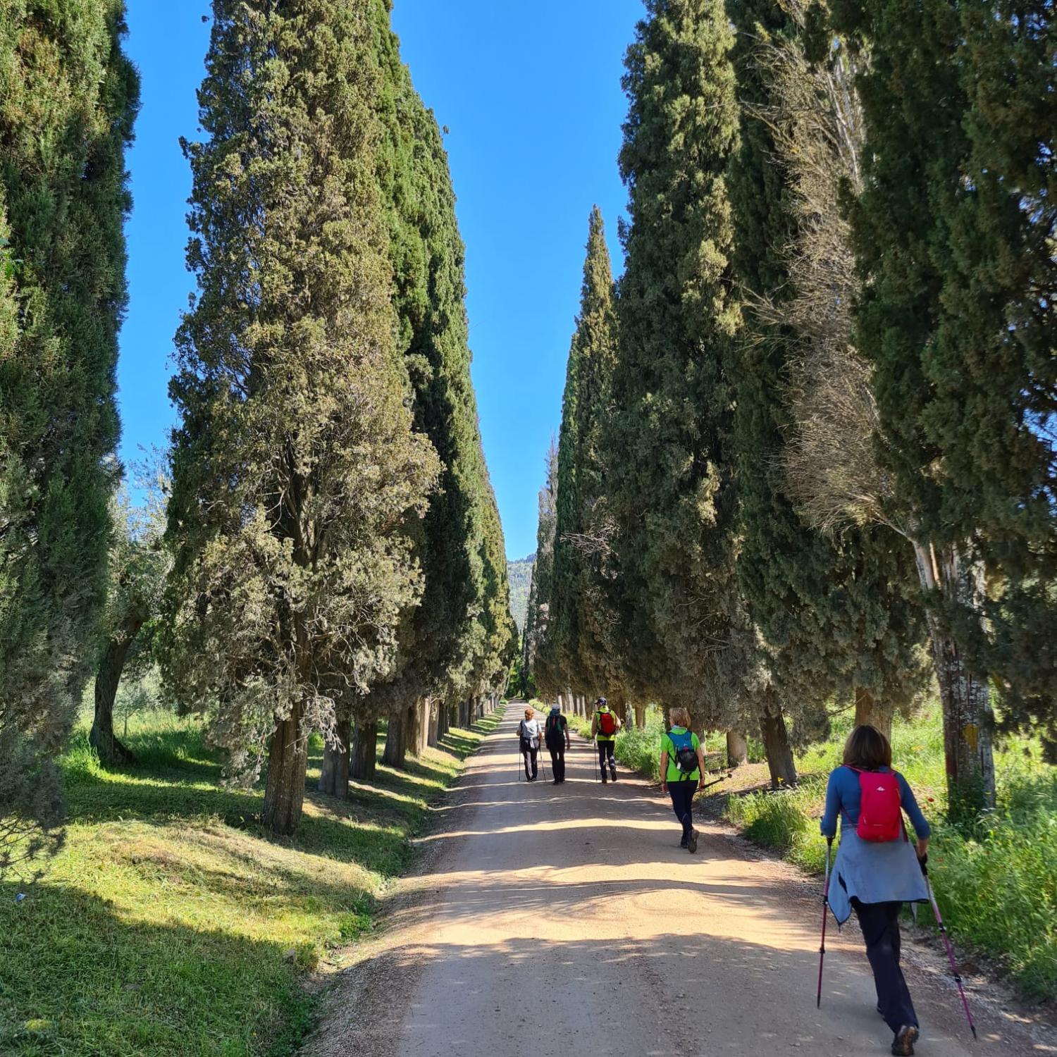 Sul viale del Pischiello (foto Antonello Sica)