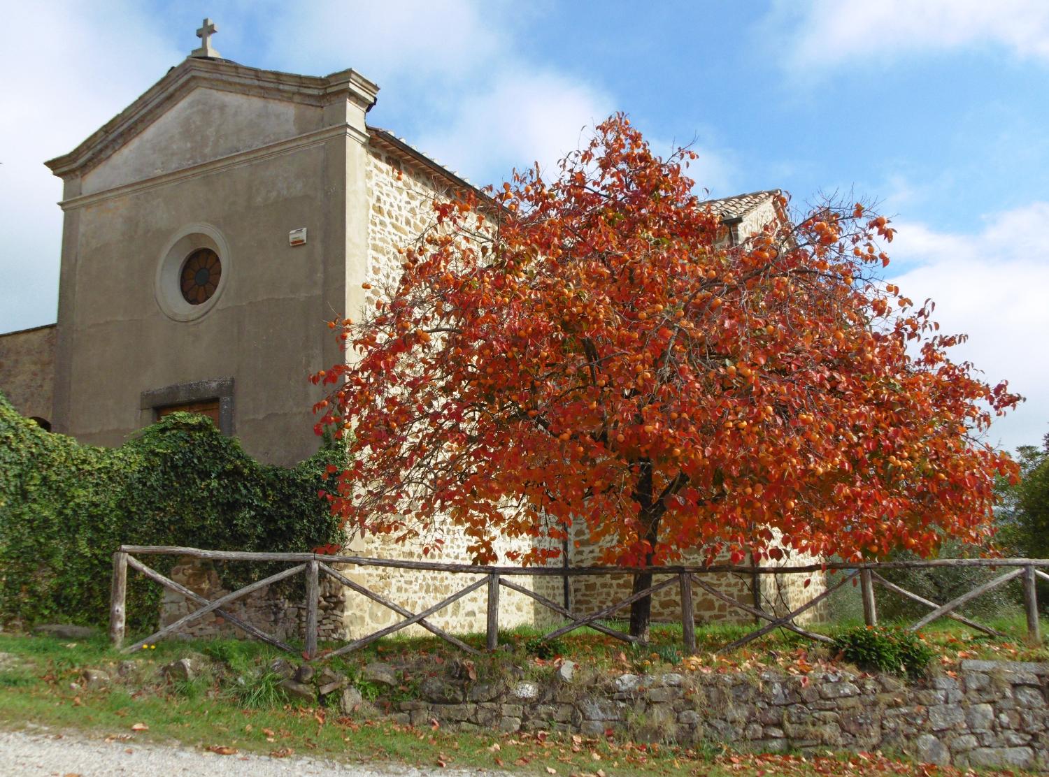 Chiesa dedicata ai Santi Cosma e Damiano, al  Borgo del Torale (foto Stefano Binucci)