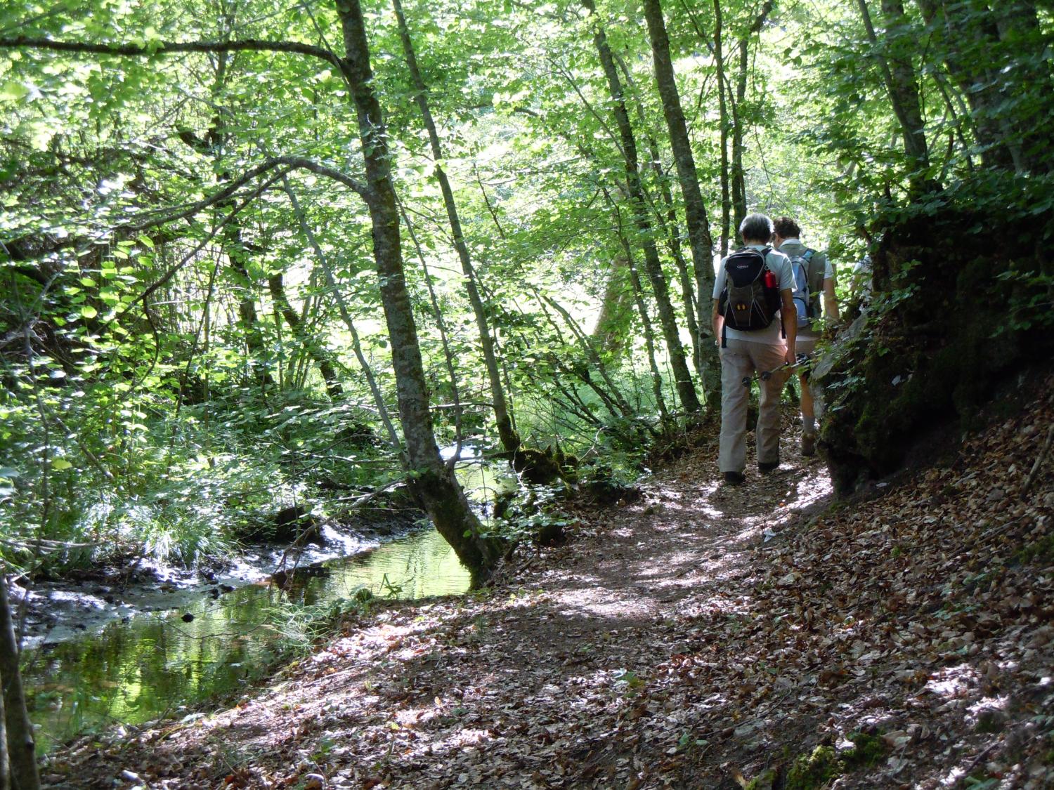 Costeggiando il torrente San Michele, lungo la via dell'acqua (foto Antonello Sica)