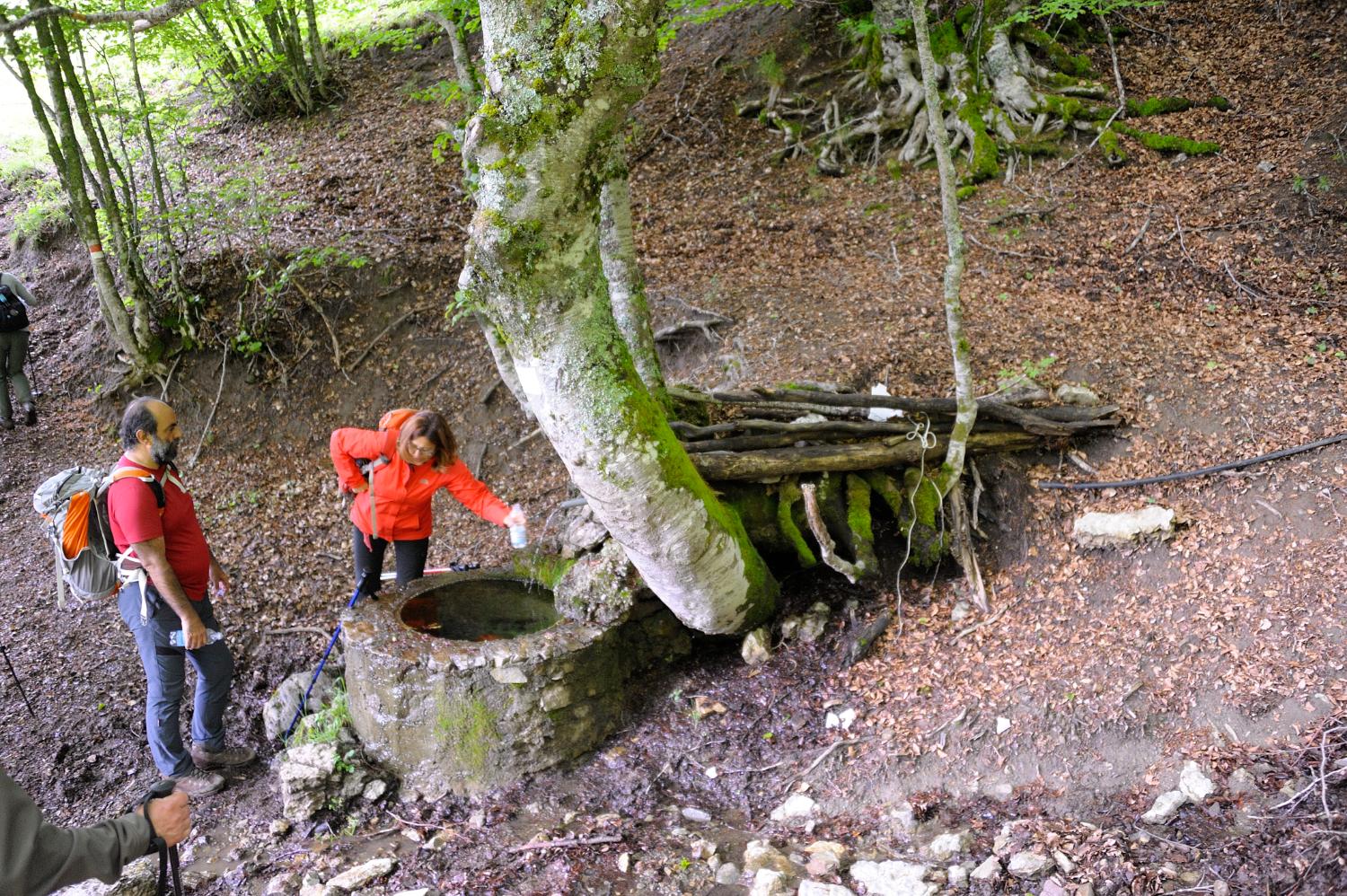 La sorgente Acqua Ceresola (foto Luigi Ritrovato)