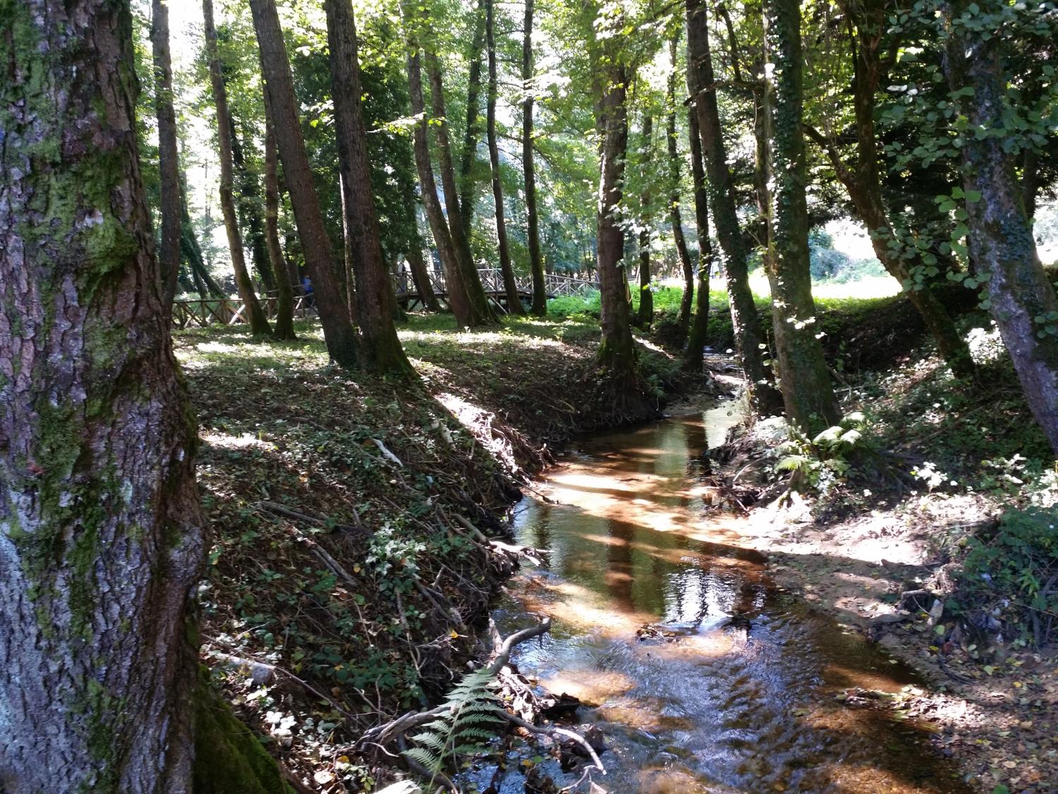 Costeggiando il fiume Ancinale tra la Certosa e Santa Maria del Bosco (foto Antonino Falcomatà)