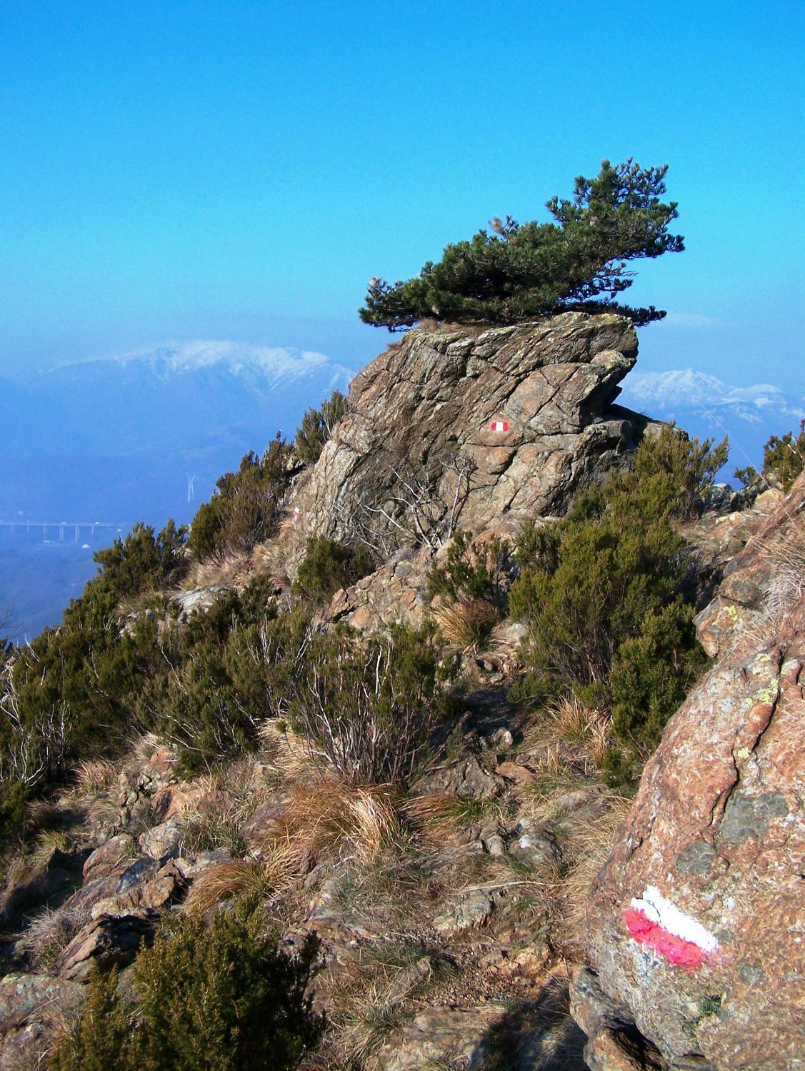 Lungo il sentiero nei pressi della Punta Pietralunga con sullo sfondo l’Appennino Ligure innevato (foto Andrea Bronsino)