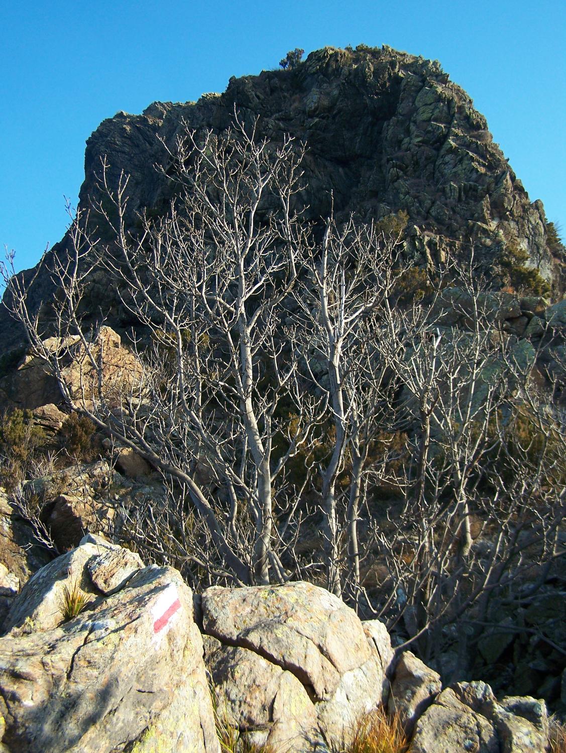 Punta Pietralunga (foto Andrea Bronsino)