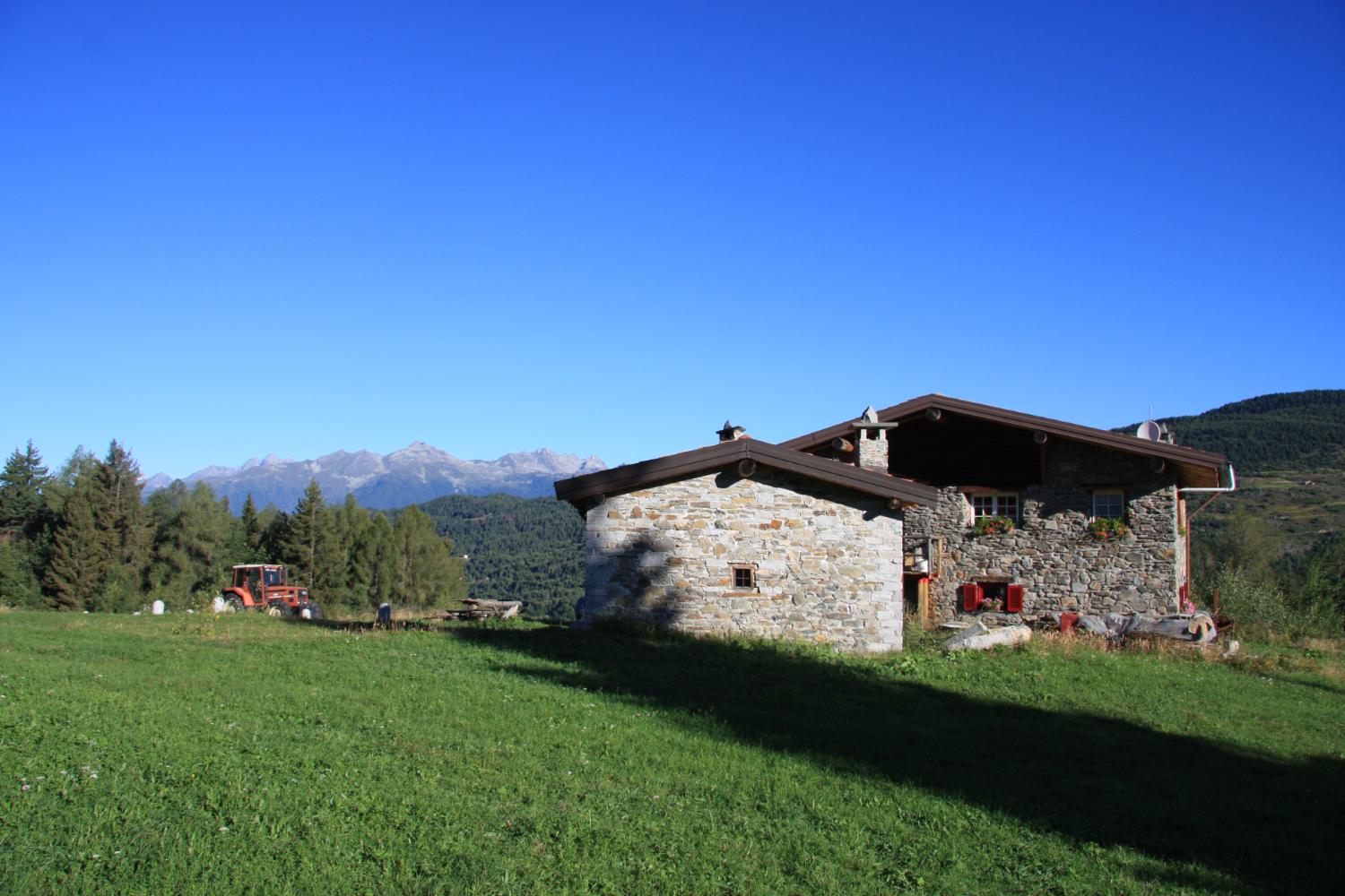 Salendo tra le malghe (foto Pierguido Vottero)