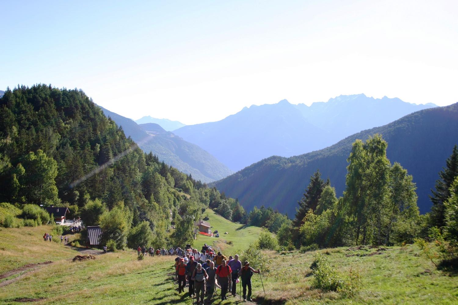 Alla Malga Premàlt (foto Antonio Stefanini)