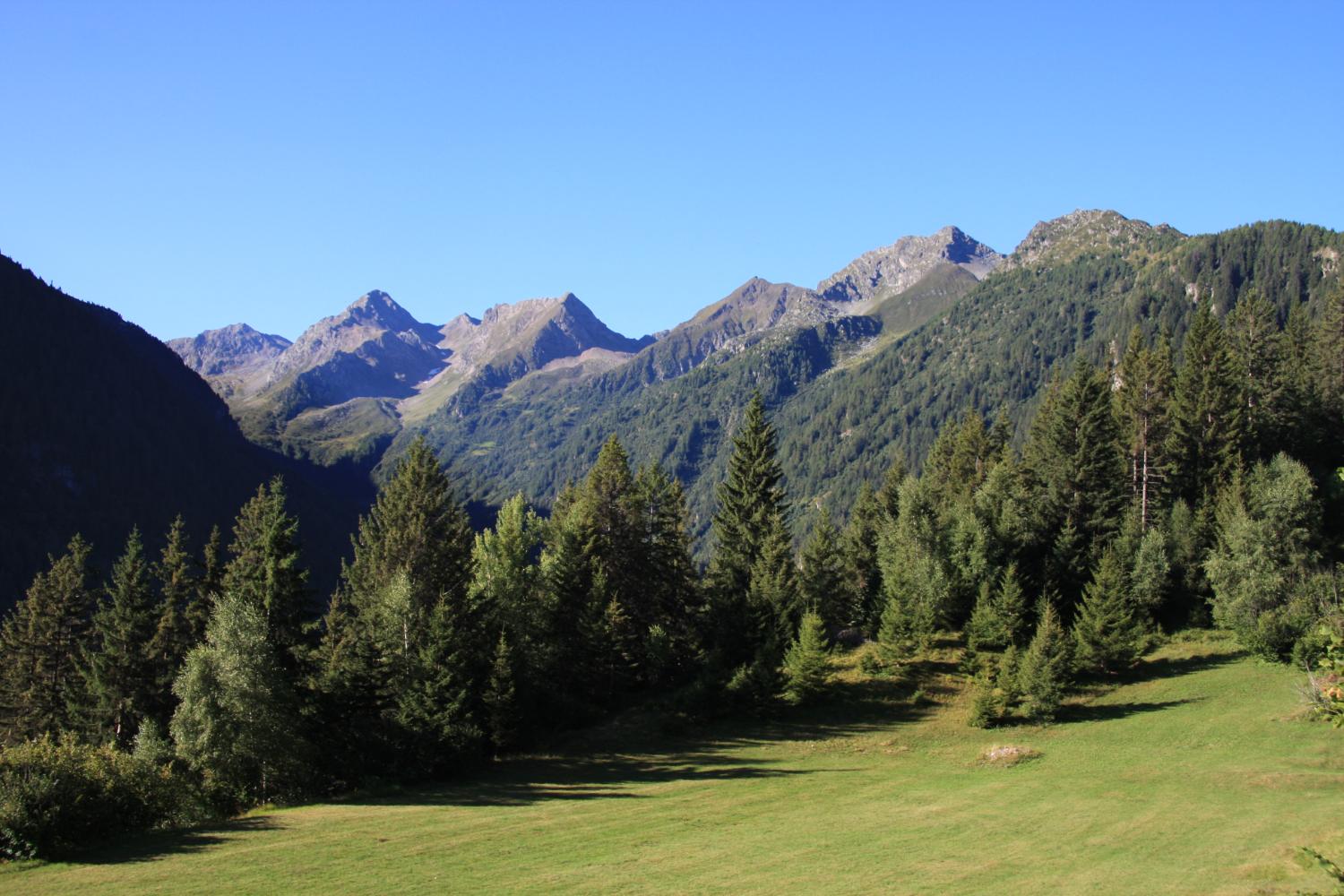 Panorama dalle malghe (foto Pierguido Vottero)