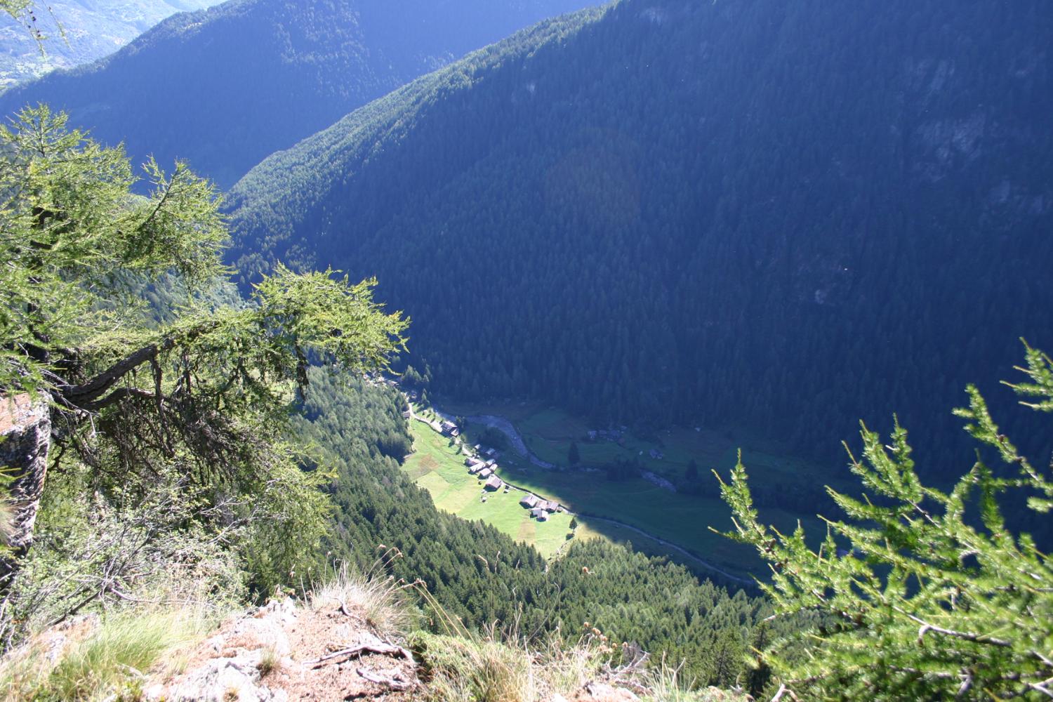 Veduta a perpendicolo sulla bassa Valle di Campovecchio e la malga omonima (foto Antonio Stefanini)