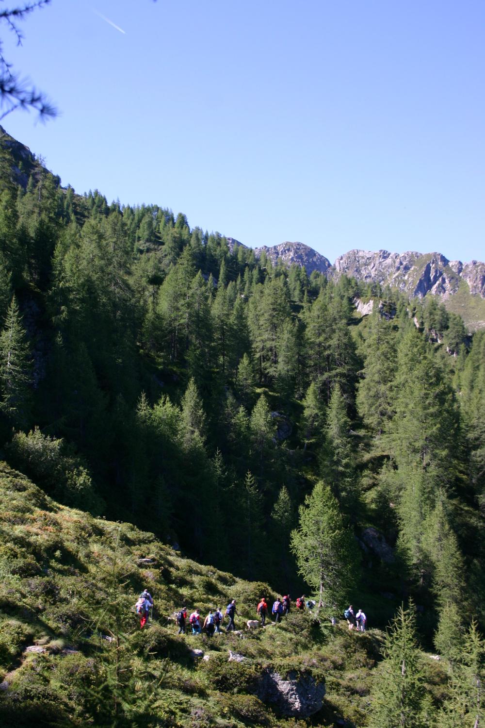 Lungo la parte terminale del sentiero (foto Antonio Stefanini)