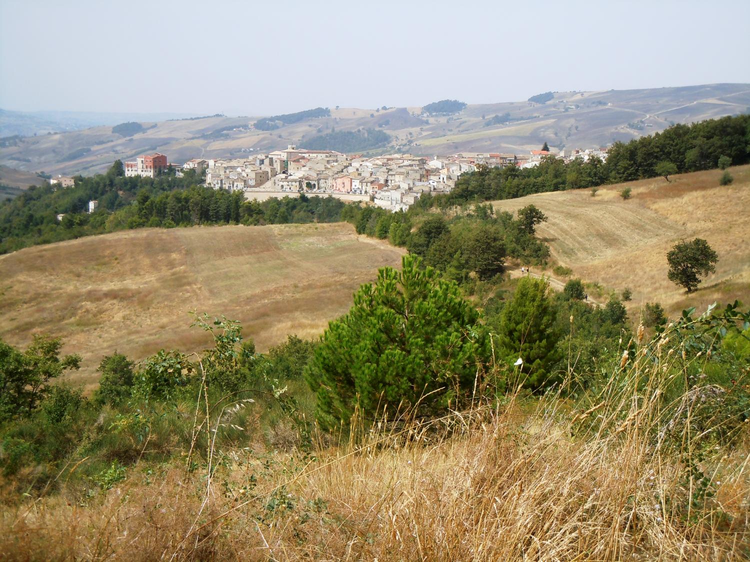 Panorama di Roseto Valfortore, salendo sul monte Cornacchia (foto Antonello Sica)