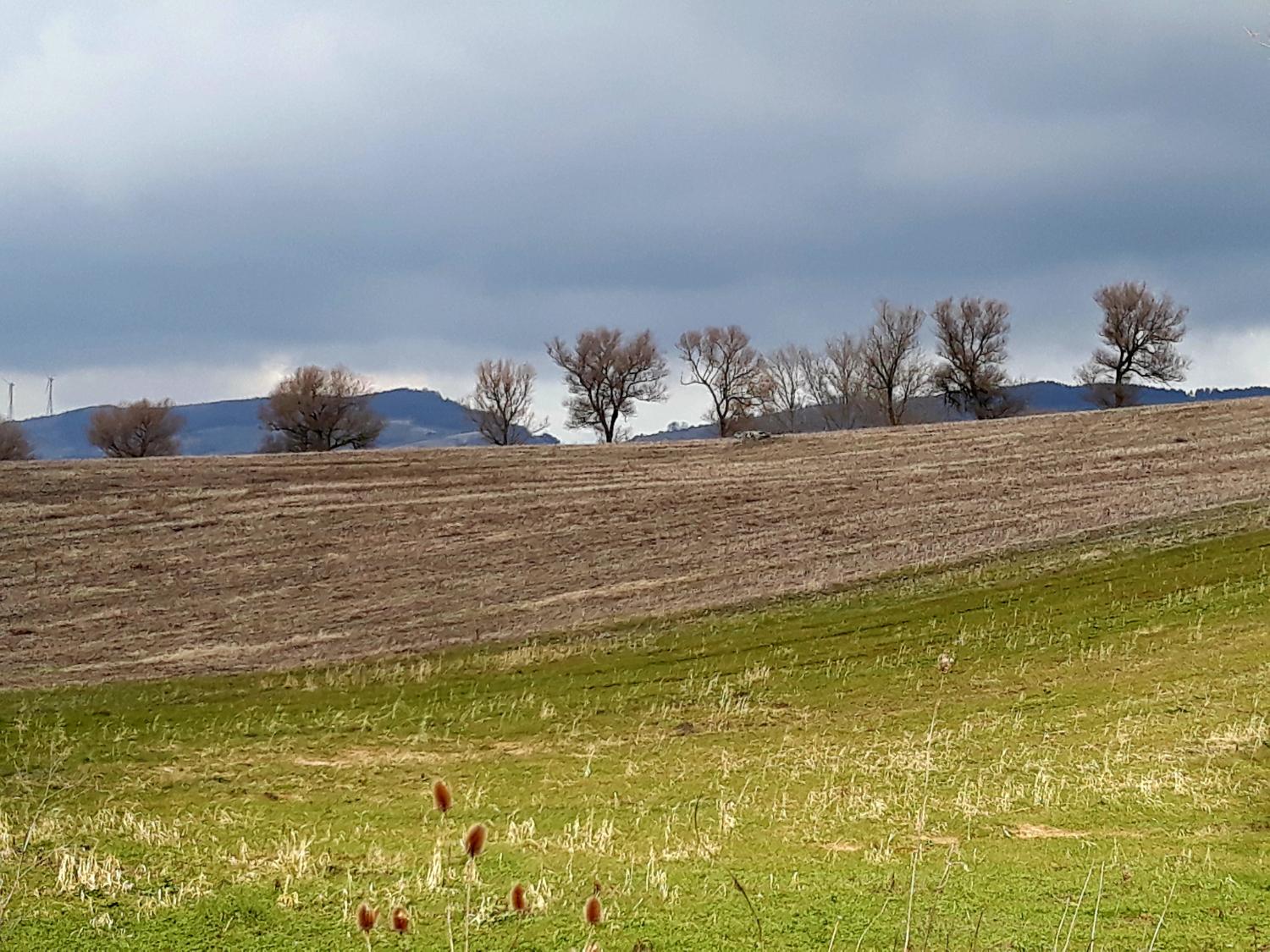 Il paesaggio tra Faeto e Roseto Valfortore (foto Antonello Sica)