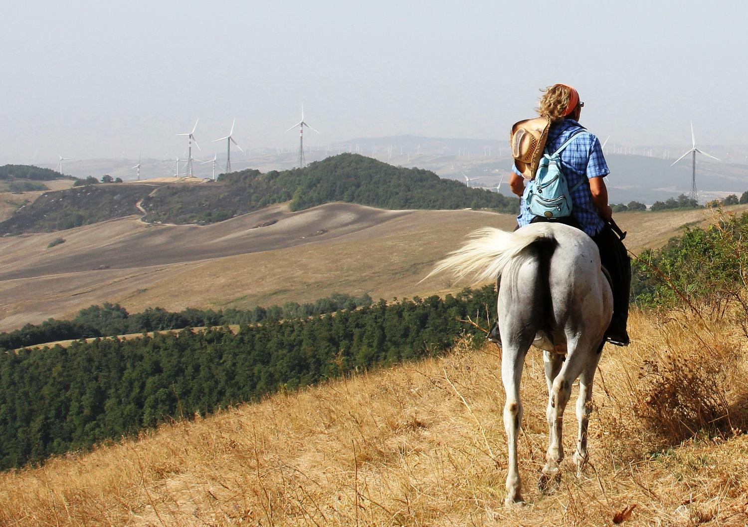 Il paesaggio dauno (foto Andrea Ghirardini)