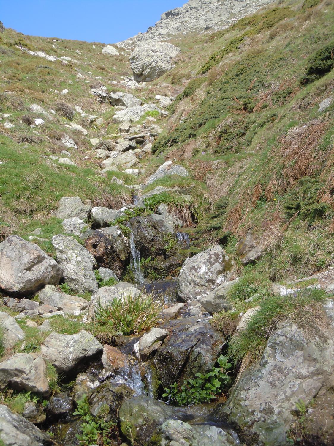 Sorgente nei pressi dei ruderi del Rifugio La Marmora (foto Antonello Sica)