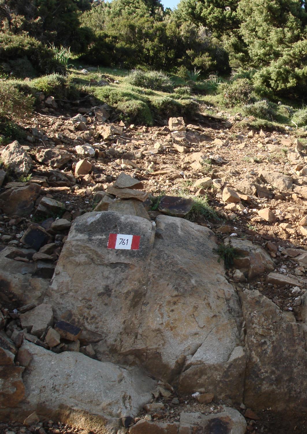 Segnavia CAI sul raggio di Villagrande Strisaili (foto Emilia Sechi)