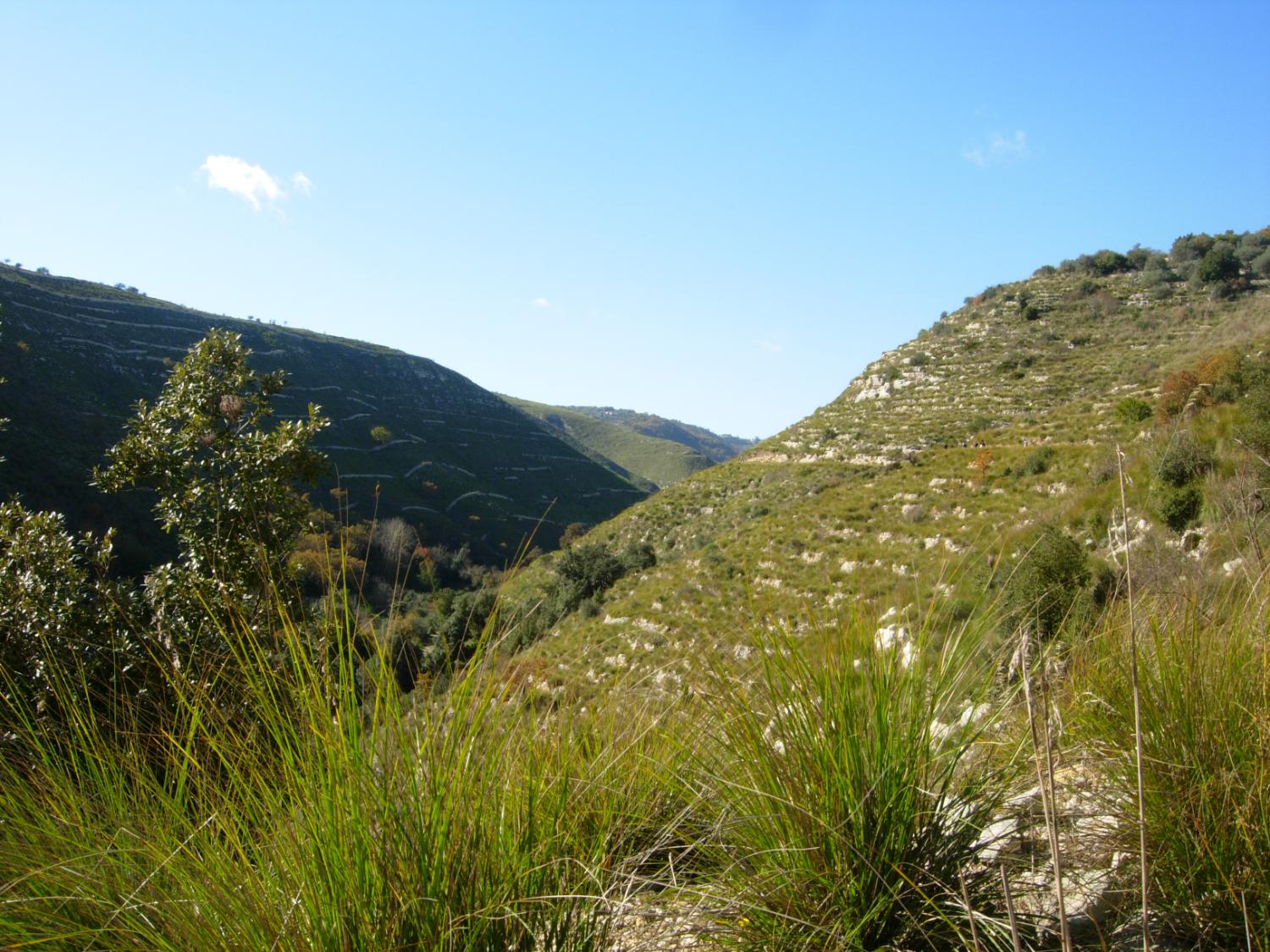 Il paesaggio dal sentiero (foto Arianna Sica)