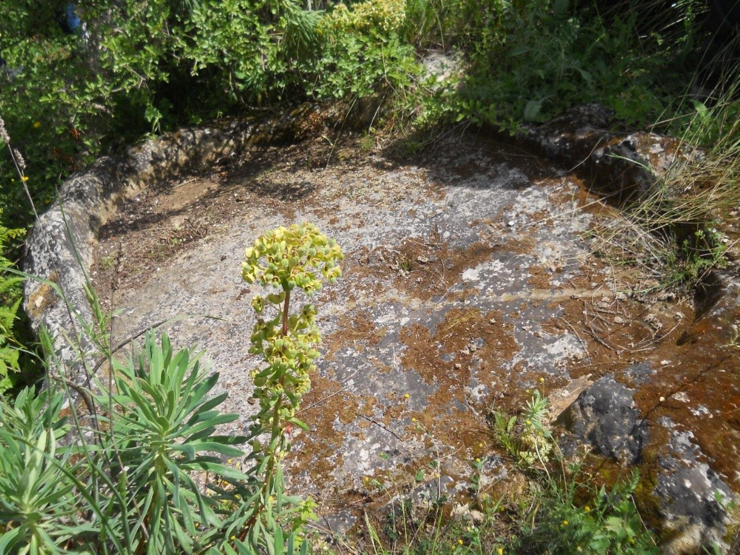 Antico palmento in pietra a cielo aperto (foto Giuseppe La Gumina)