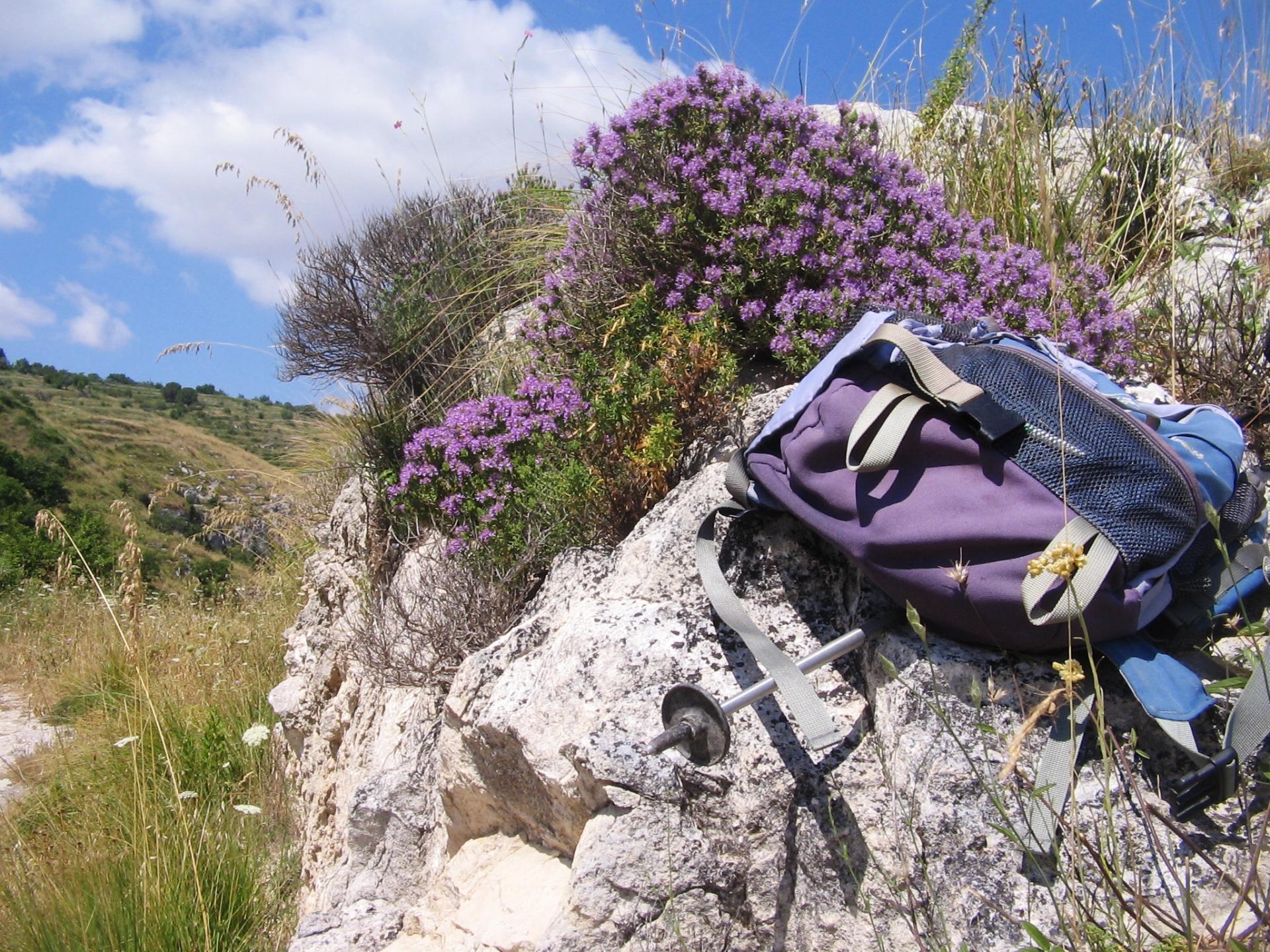 Escursione sul Sentiero Frassati della Sicilia