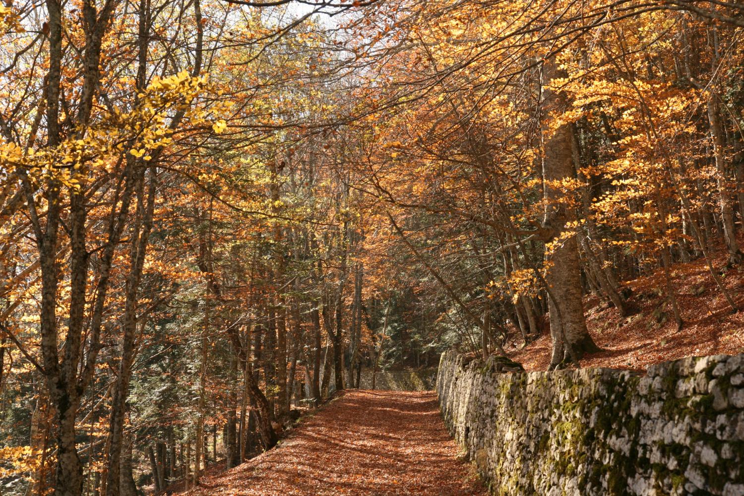 Primi passi sul sentiero GEA, anello basso (foto Andrea Ghirardini)