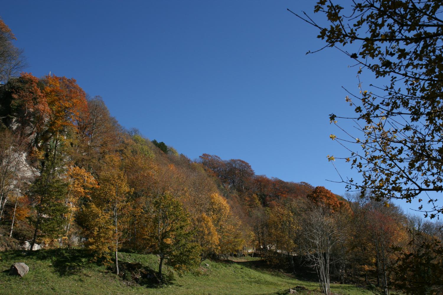 Sull'anello basso, all'incrocio del  sentiero CAI 053 con il sentiero 050 prossimo al Santuario (foto Andrea Ghirardini)