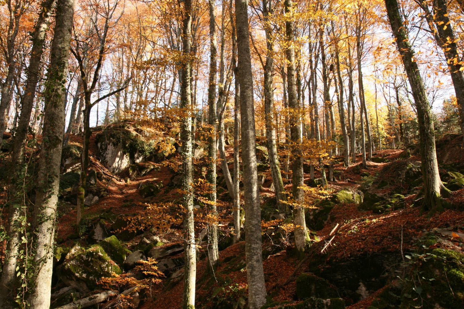 Scendendo dal monte Penna lungo l'anello alto (foto Andrea Ghirardini)